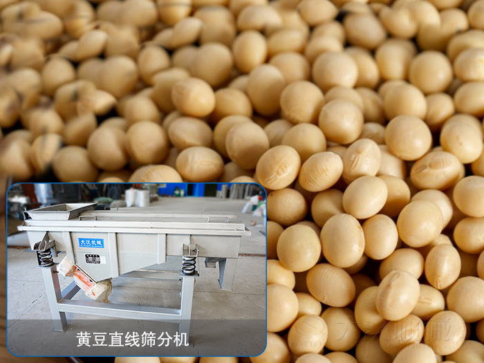 大豆黄瓜视频污免费在线观看分机