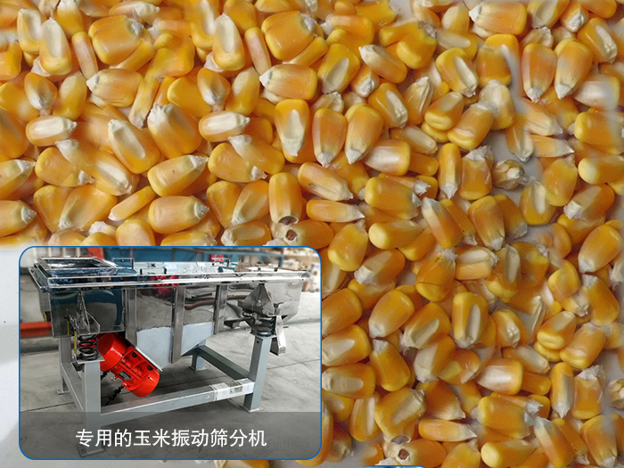 玉米黄瓜视频最污app